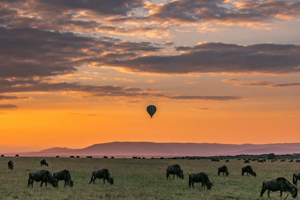 Best Time to Visit Africa for Safari